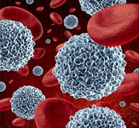 Primary Immunodeficiency Treatment in Seattle, WA