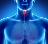 Thyroid Hormone Replacement Therapy in Warren, NJ